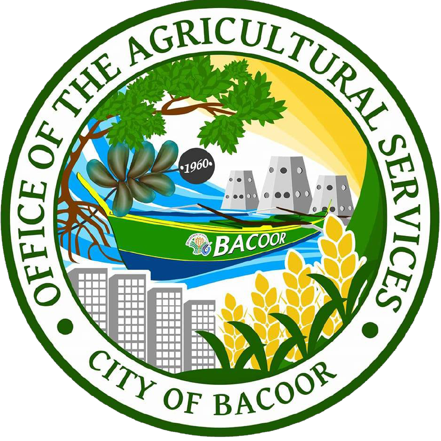 bacoor.png